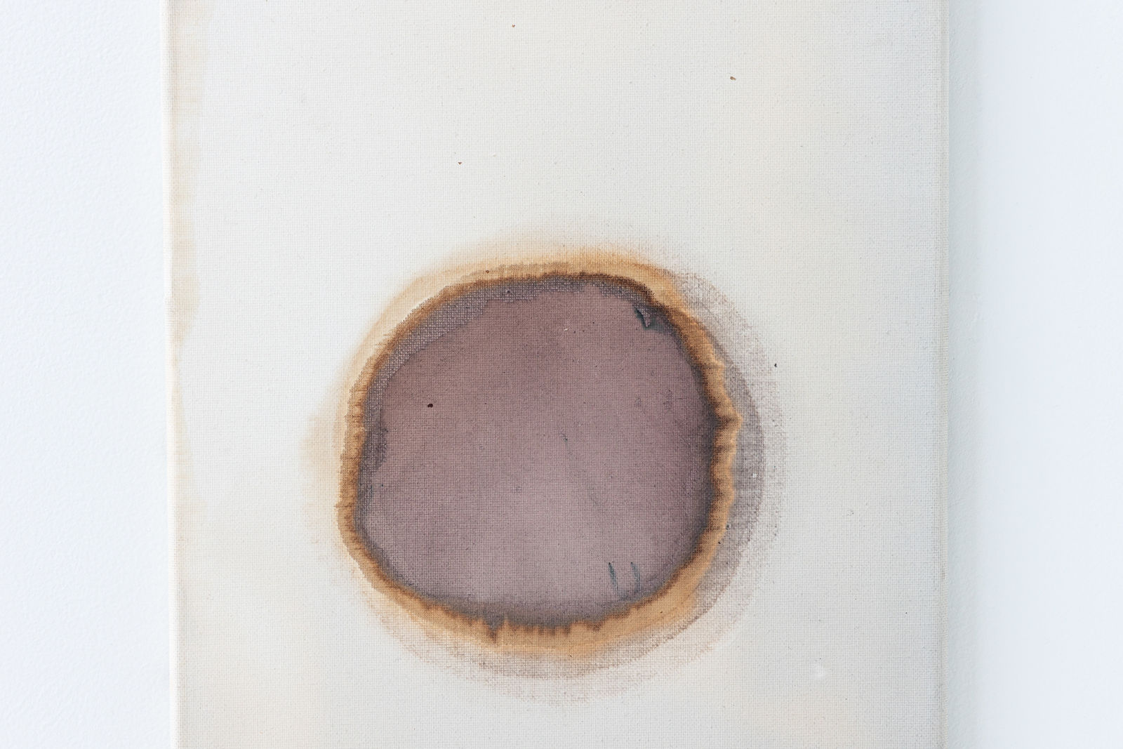 Ciro Duclos, Purple corn paintings (small) #3, 2021