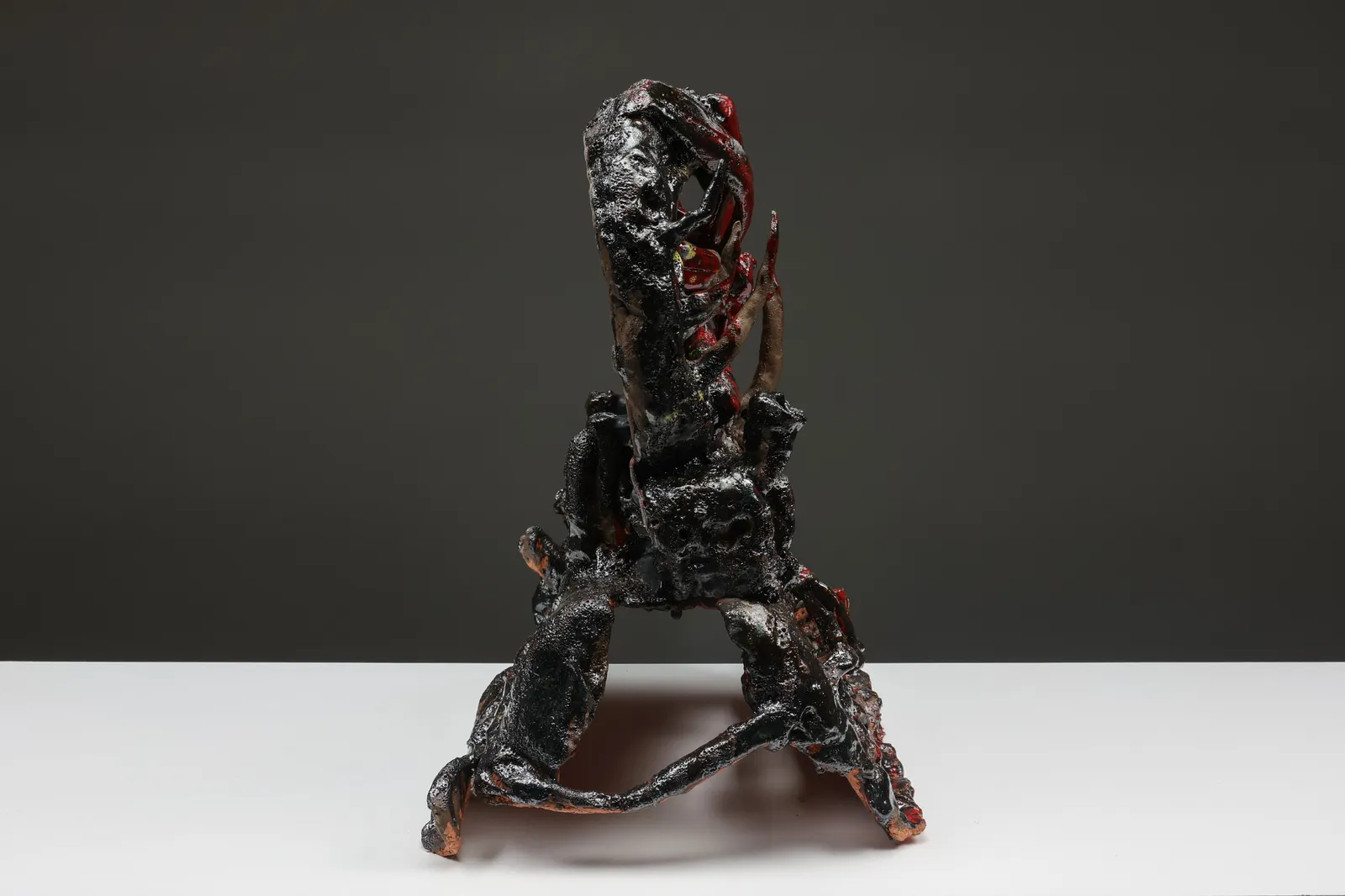 Tom Volkaert, A beautiful flower from the pfos rich lands of Antwerp, 2021