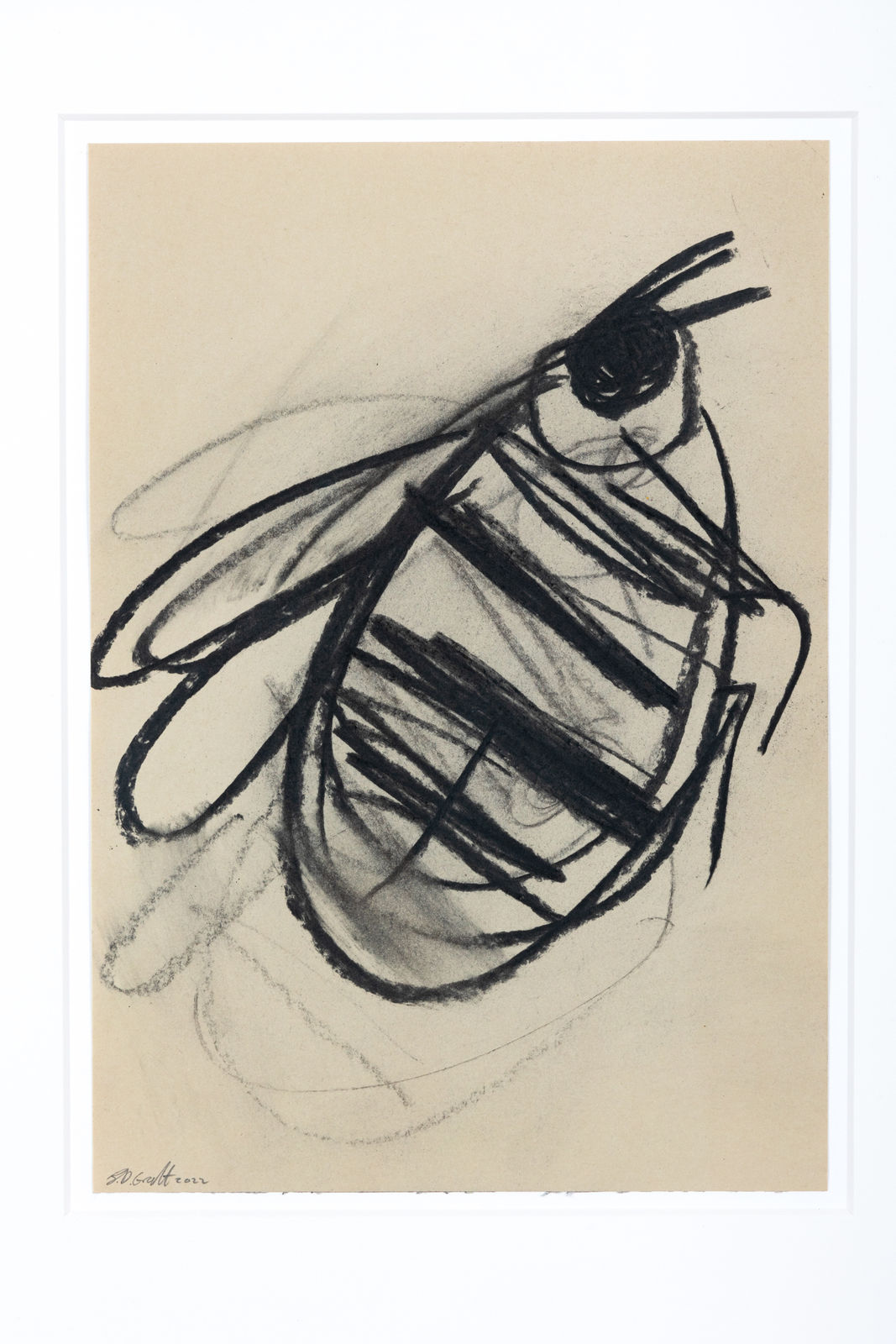 B.D. Graft, Bee 2, 2022