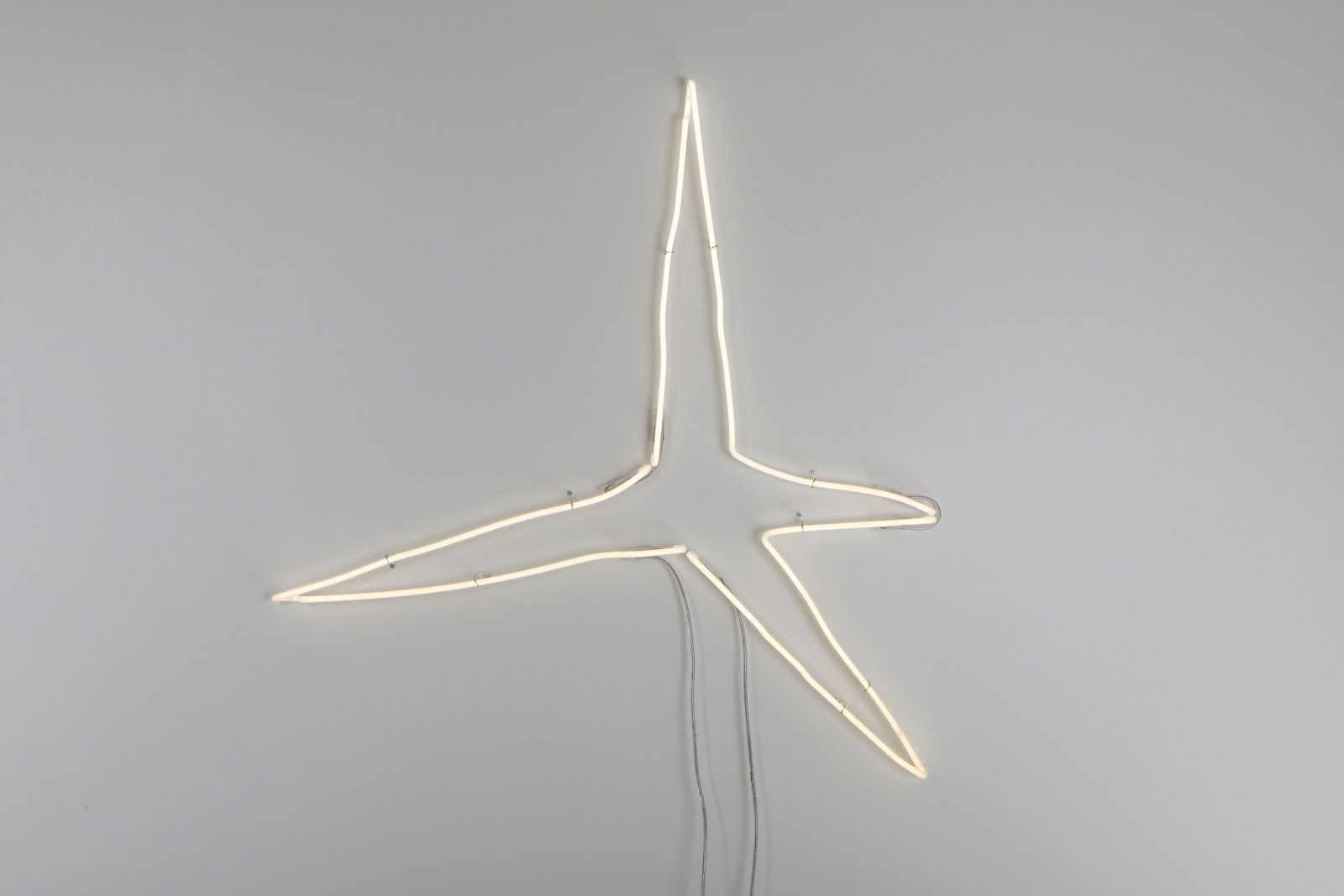 Daan Gielis, Caltrop, 2020