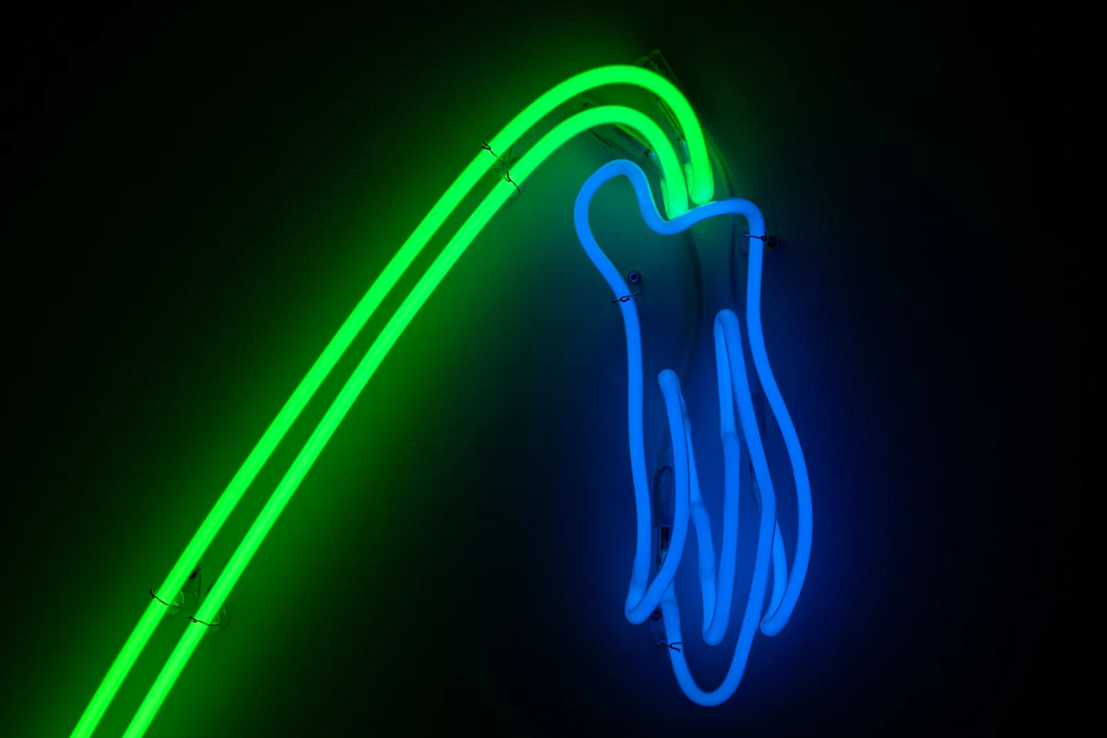 Daan Gielis, Wilting Flower (#2), 2022