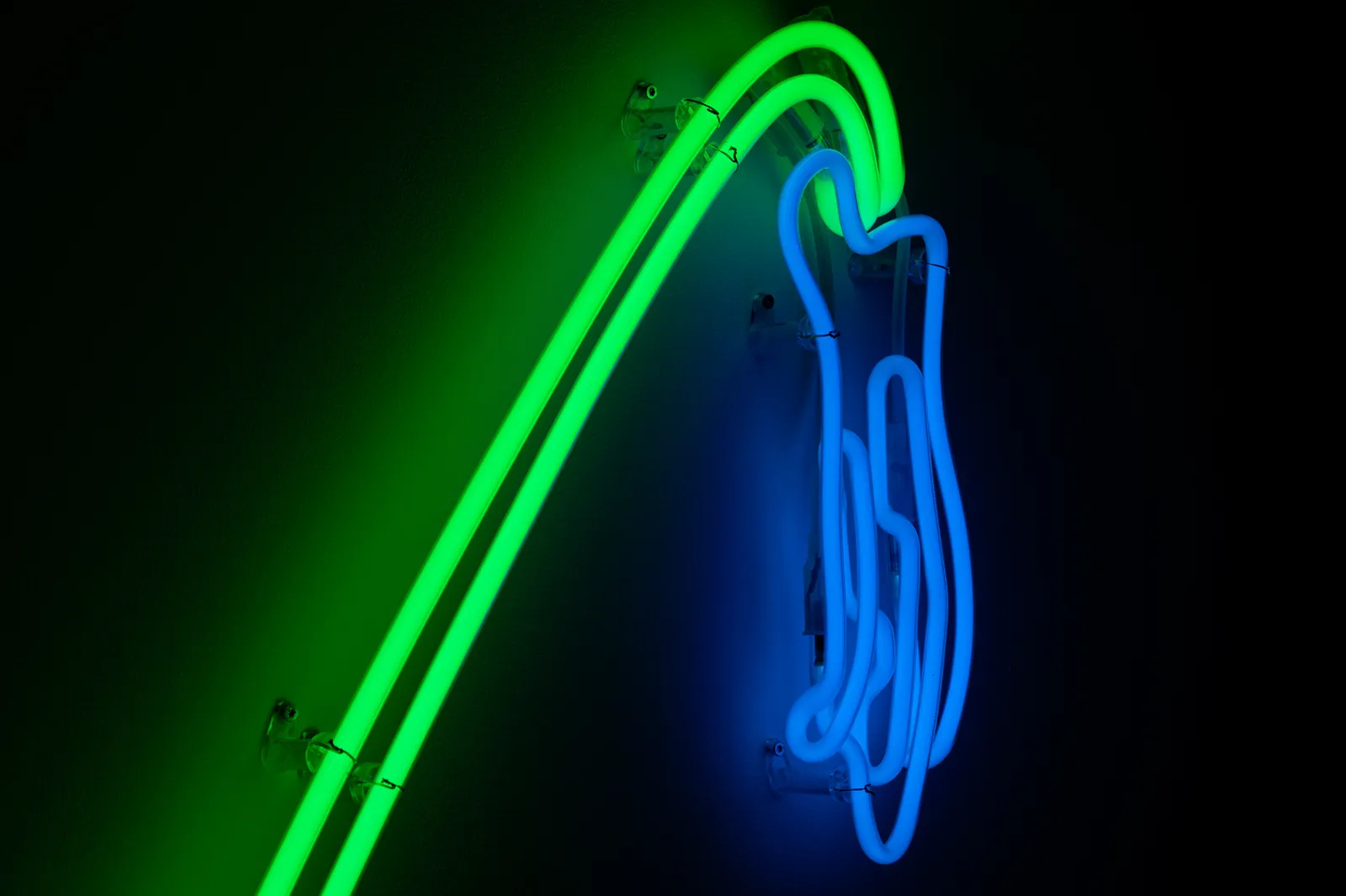 Daan Gielis, Wilting Flower (#2), 2022