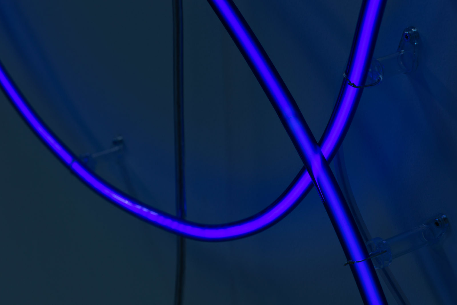 Daan Gielis, Happy Sad, 2022