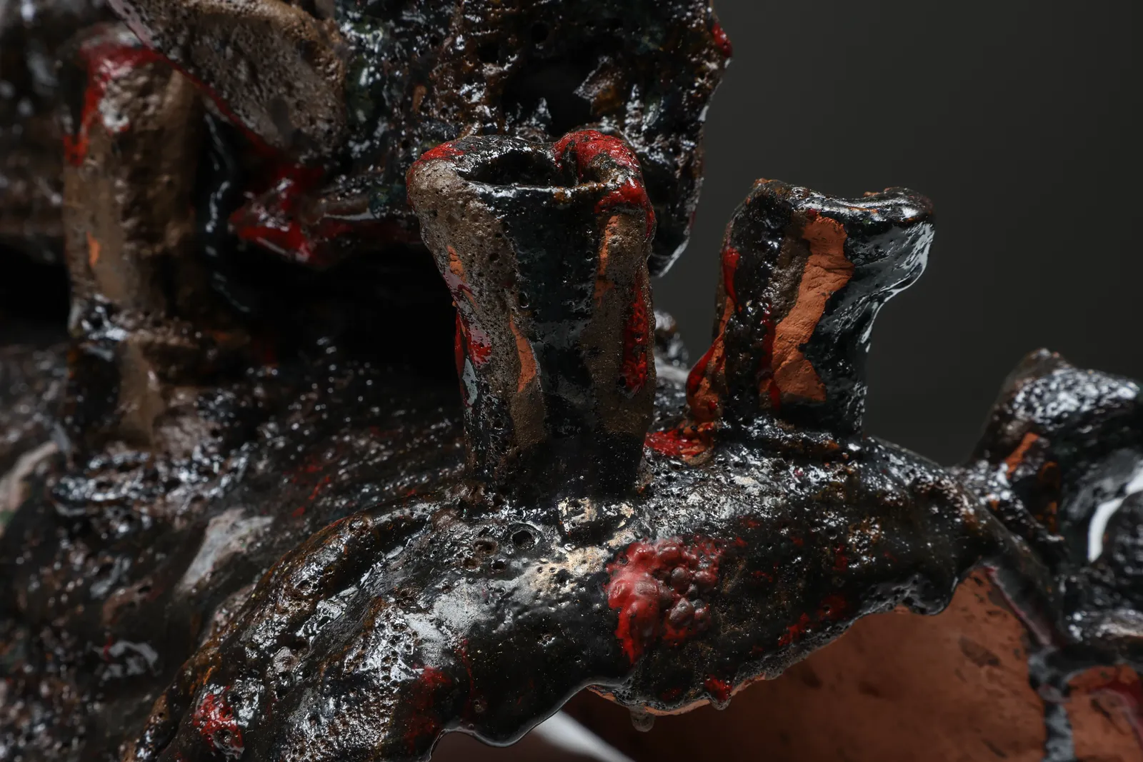 Tom Volkaert, A beautiful flower from the pfos rich lands of Antwerp, 2021