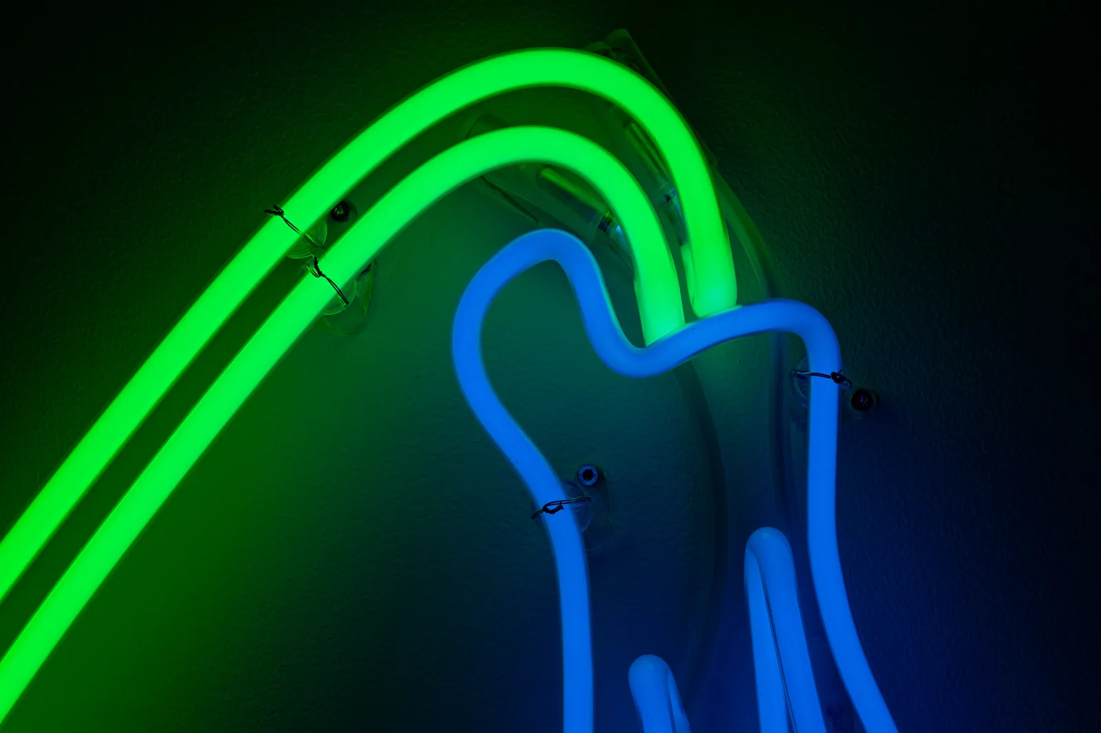 Daan Gielis, Wilting Flower (#2), 2022