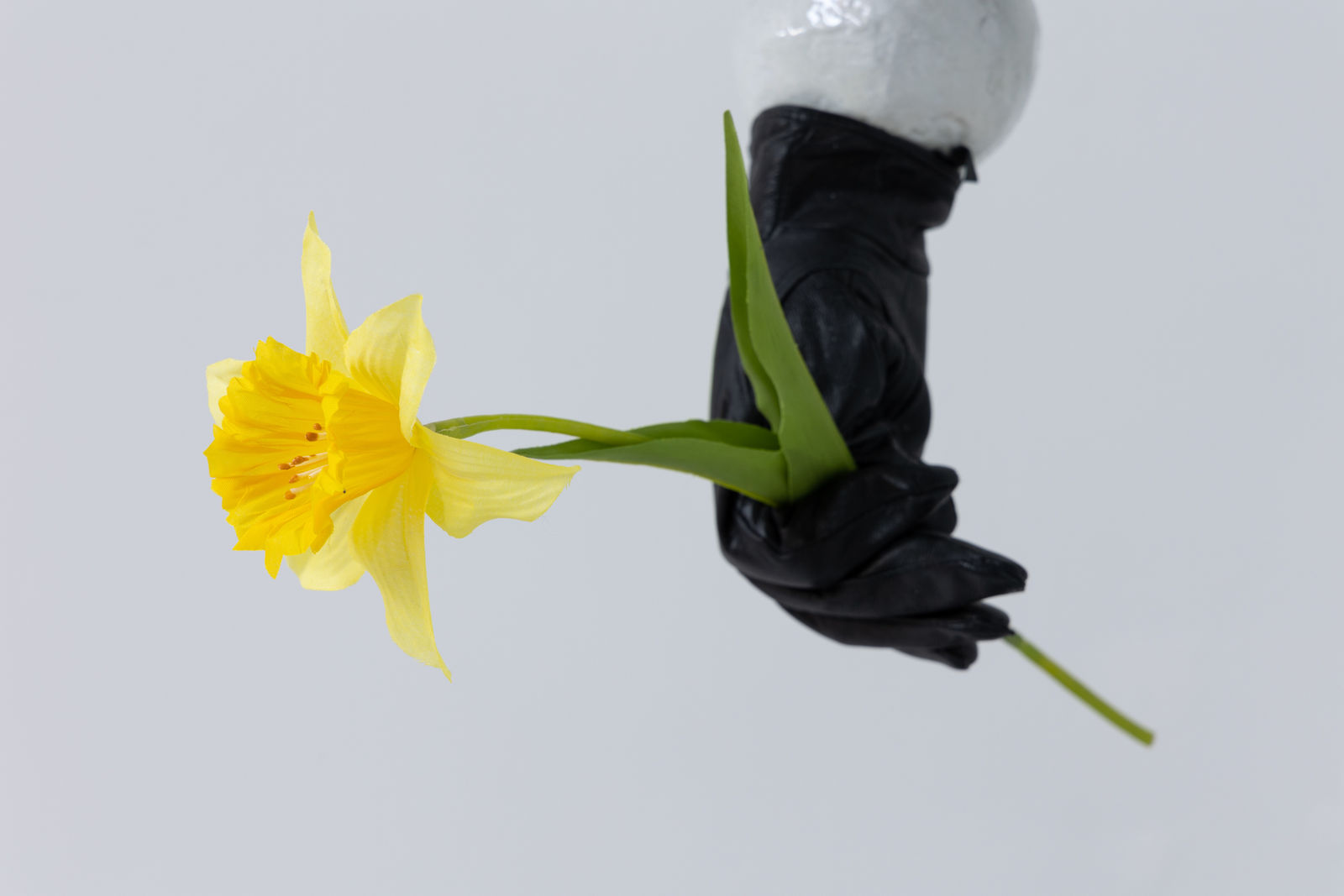 Victor Delestre, L'homme-boule, 2021