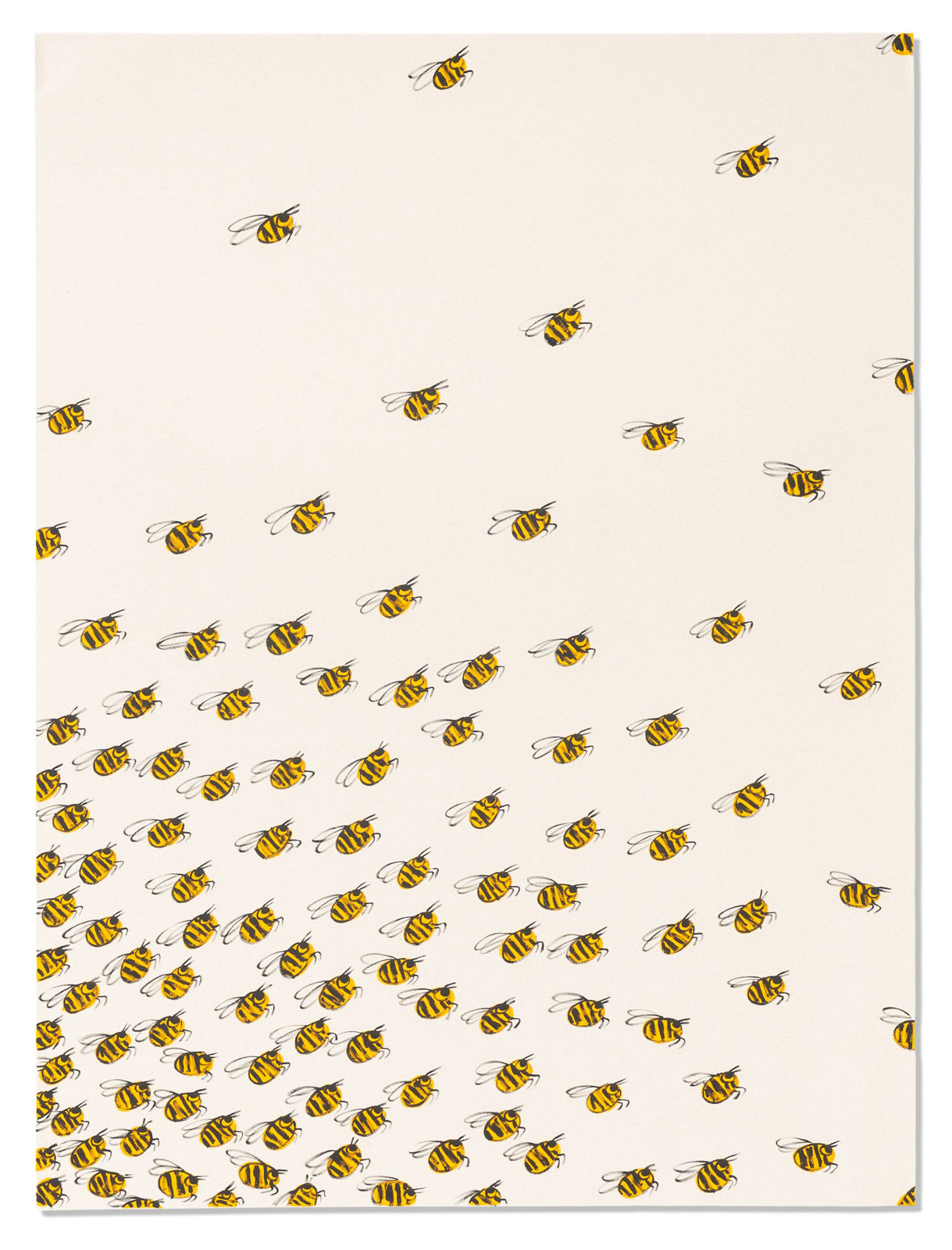 B.D. Graft, Swarm, 2022