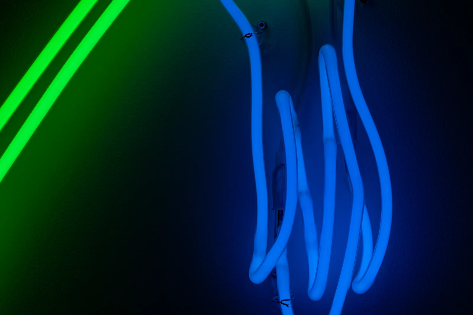 Daan Gielis, Wilting Flower (#2), 2022