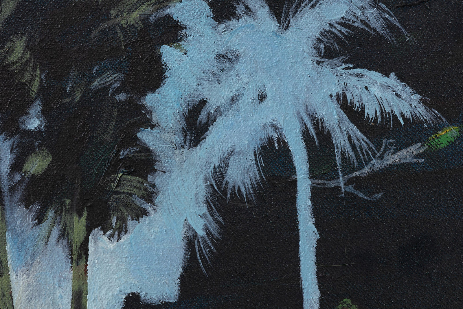 Bram Kinsbergen, The day the palmtrees metamorphosed, 2021