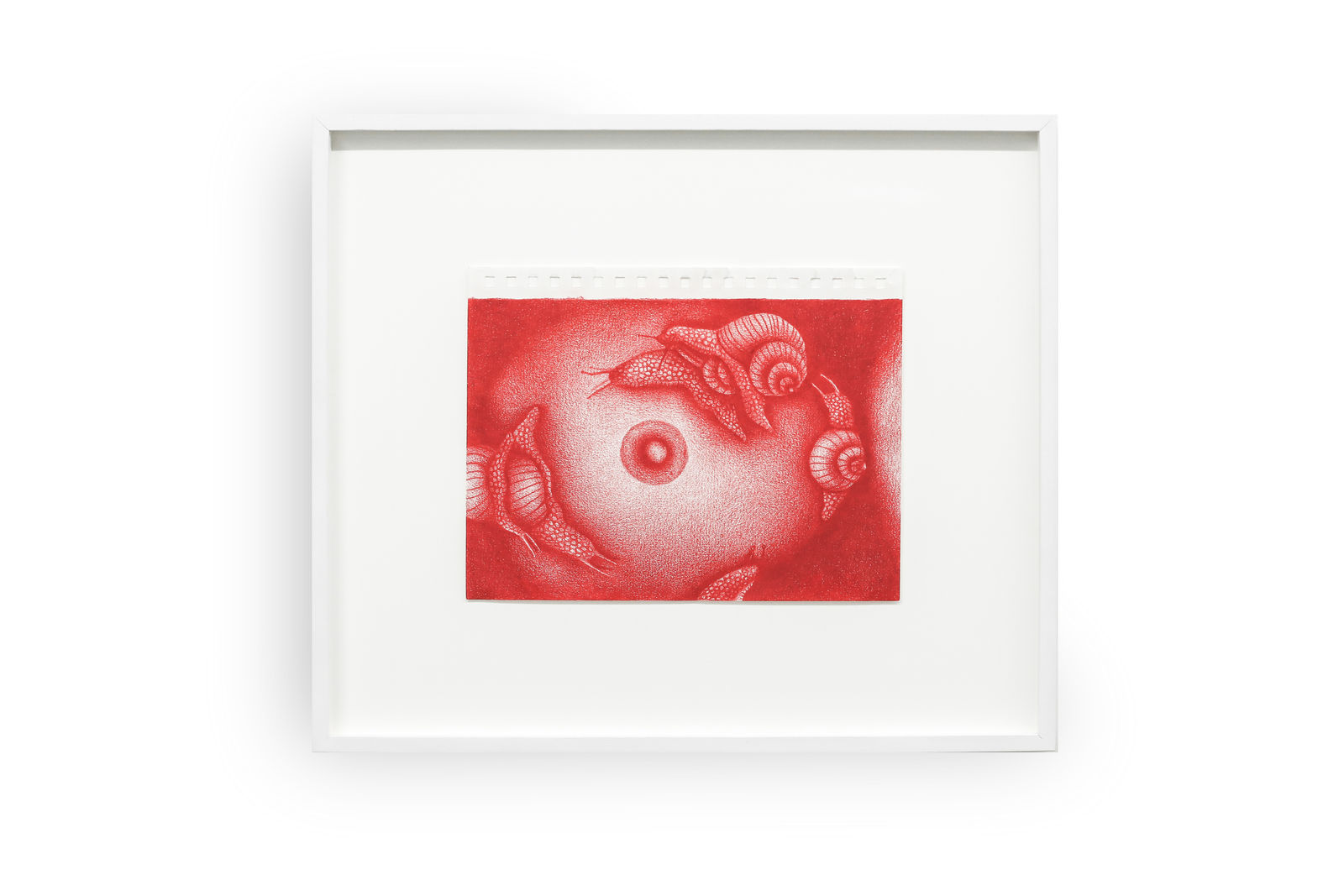 Maria Fragoso, Círculo vicioso II, 2020