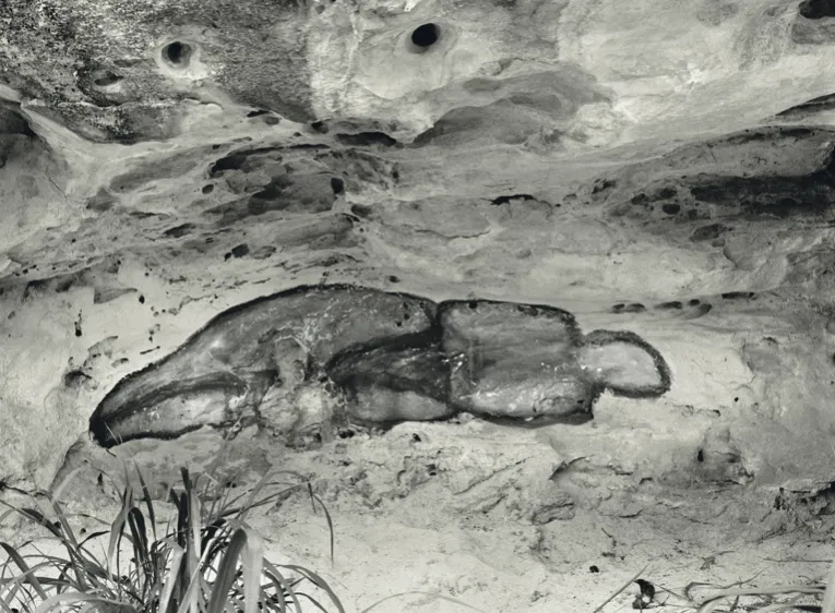 Ana Mendieta, La Venus Negra (The Black Venus), 1981