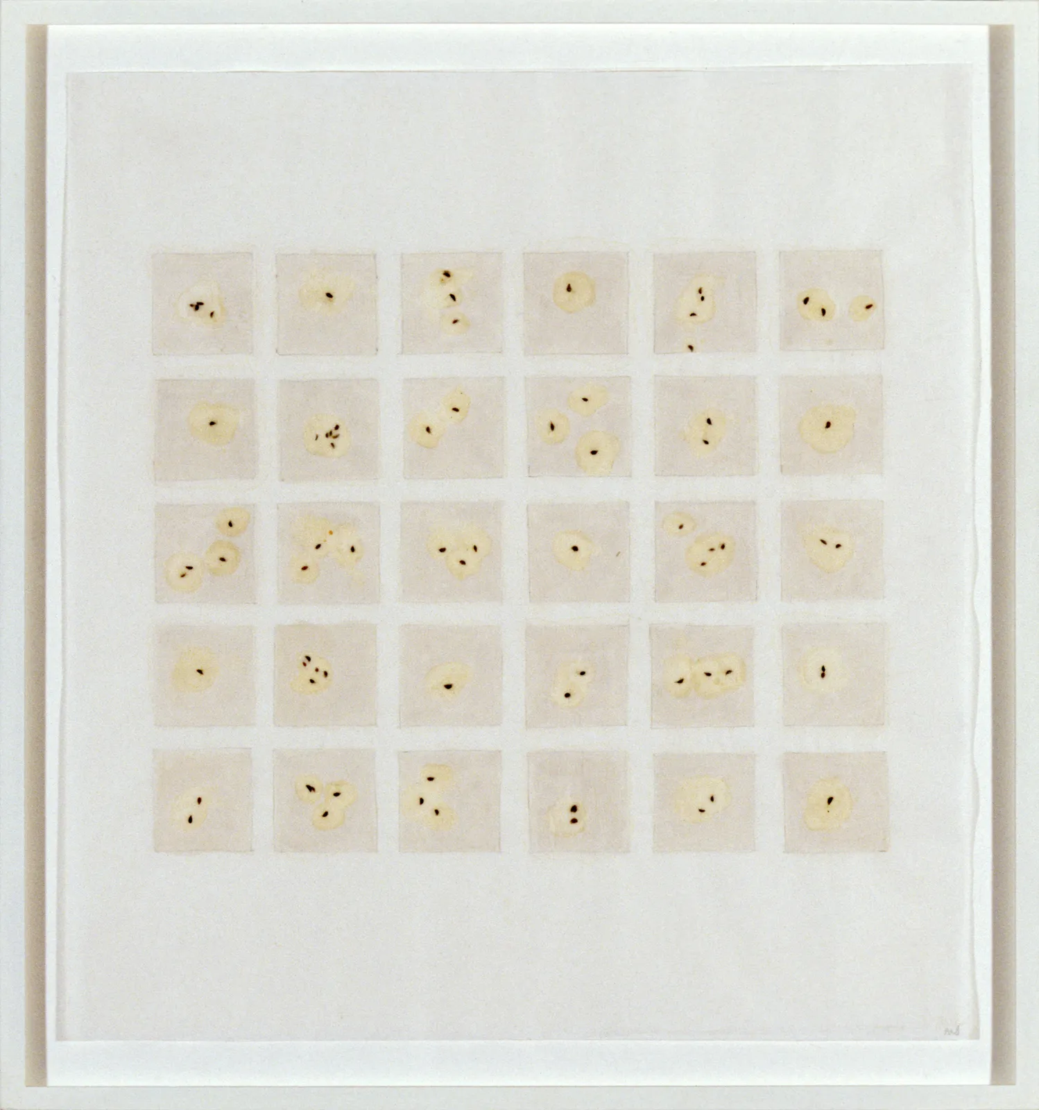 Michelle Stuart, Seed Calendar: AGH, 1992