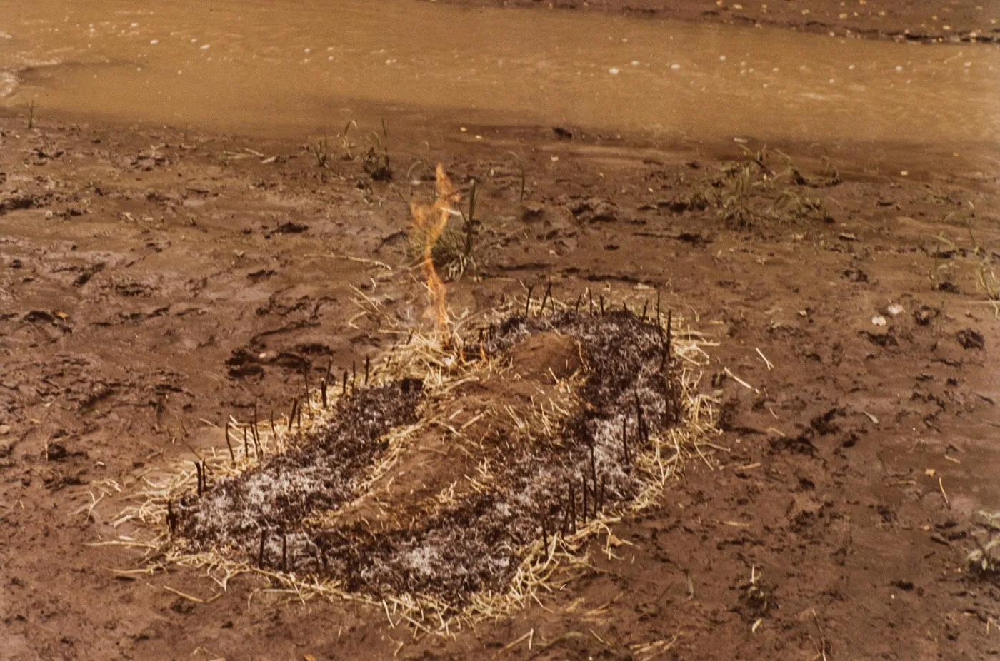 Ana Mendieta, Untitled: Silueta Series (Figure with Hay Burned), 1977