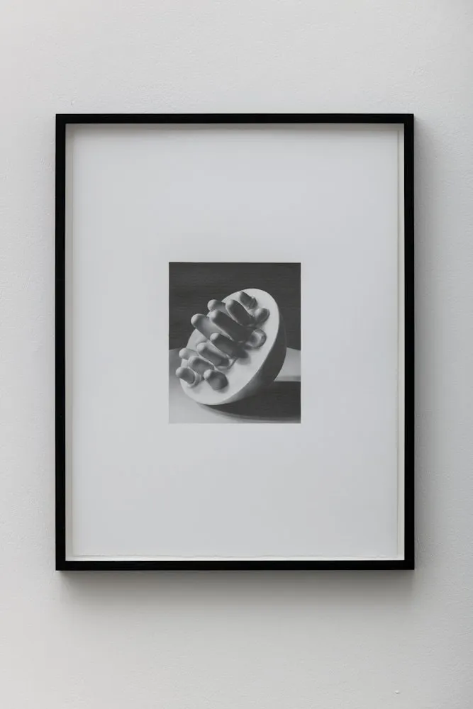 Dan Fischer, Louise Bourgeois, Germinal, 2011