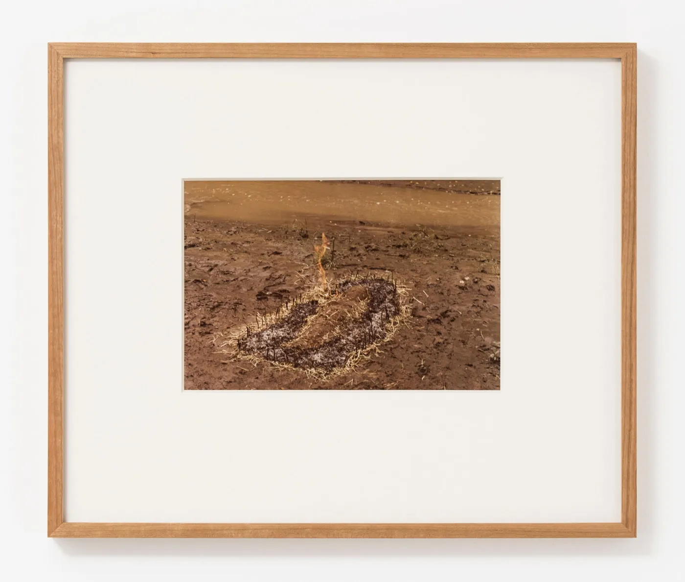 Ana Mendieta, Untitled: Silueta Series (Figure with Hay Burned), 1977