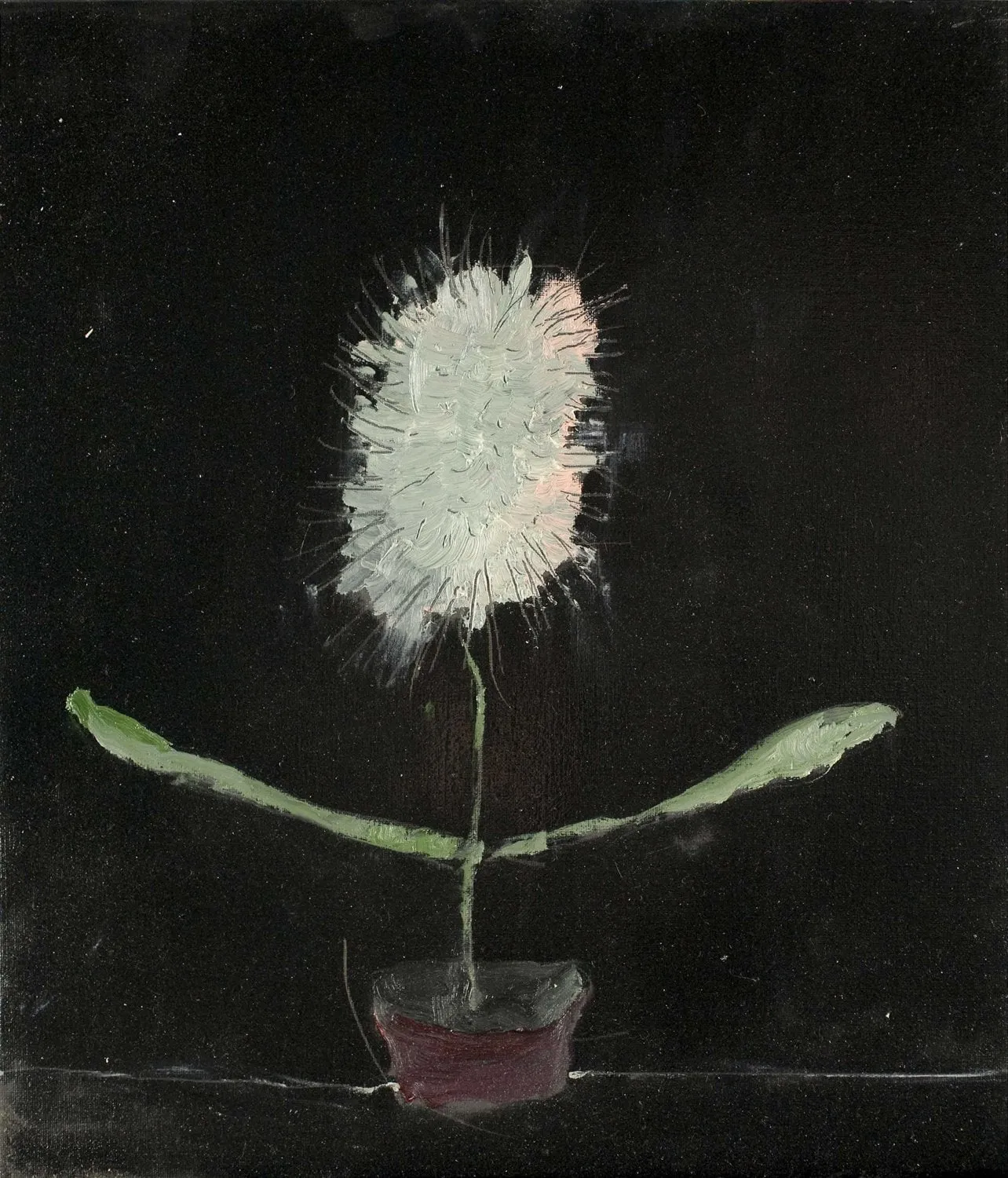 Thomas Zipp, A.B.W.D. 21, 2008