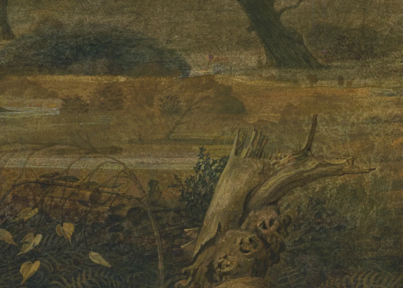 Graham Little, Untitled (Wood), 2019