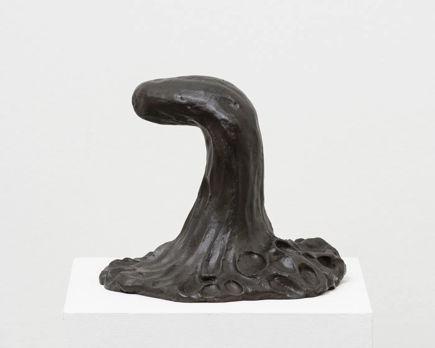 Erika Verzutti, Tarsila, 2004-2018