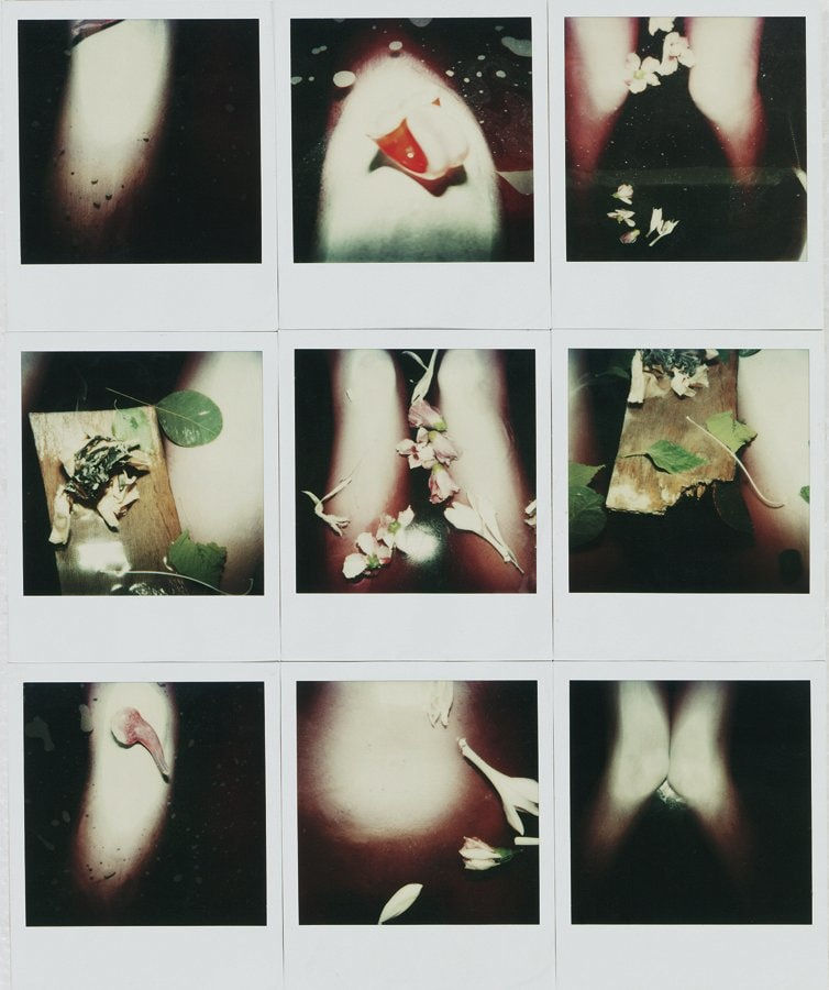 Birgit Jürgenssen, 10 Days - 100 Photos, 1980-81