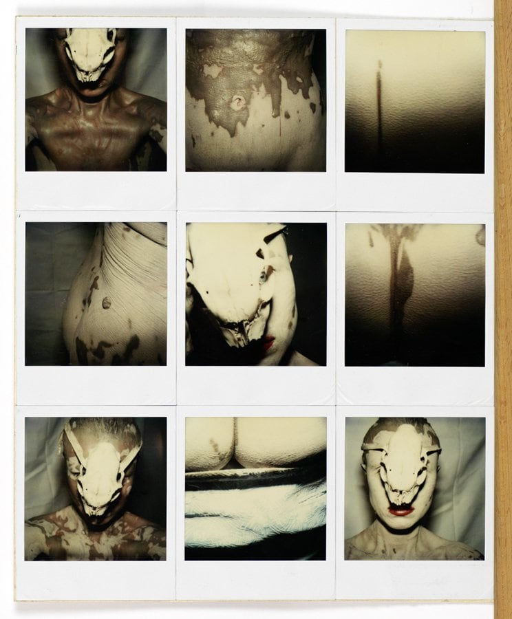 Birgit Jürgenssen, 10 Days - 100 Photos, 1980-81