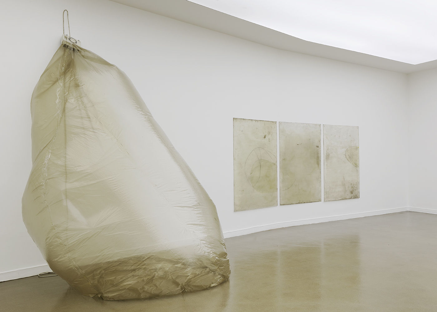 Ian Kiaer, Endnote, tooth, 2017