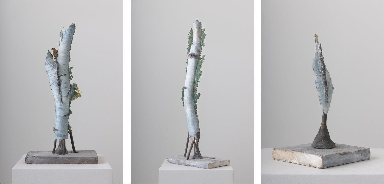 Cecilia Edefalk, Birch, 2011