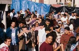 Guadalupe Rosales, Morning Anxiety, 2024