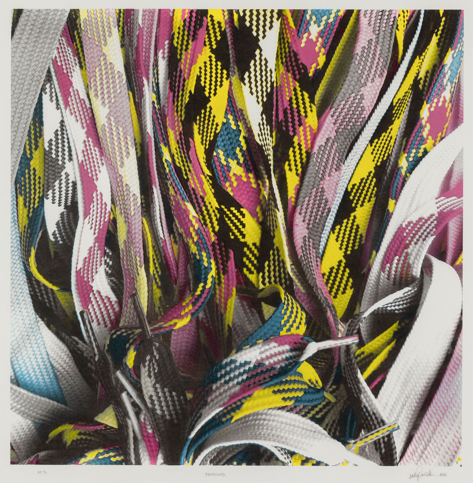 Sadie Barnette, Cordones, 2012