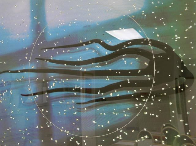 Lita Albuquerque, Ophiodermia Cielo, 2005