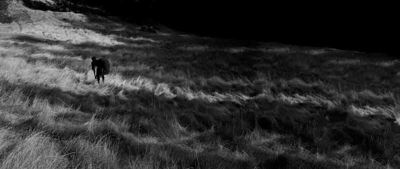 Sune Woods, Echo, Echo, 2010