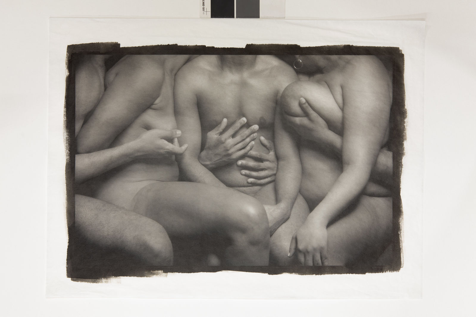 Ajamu X, A Senual Chorus of Gestures VI, 2024