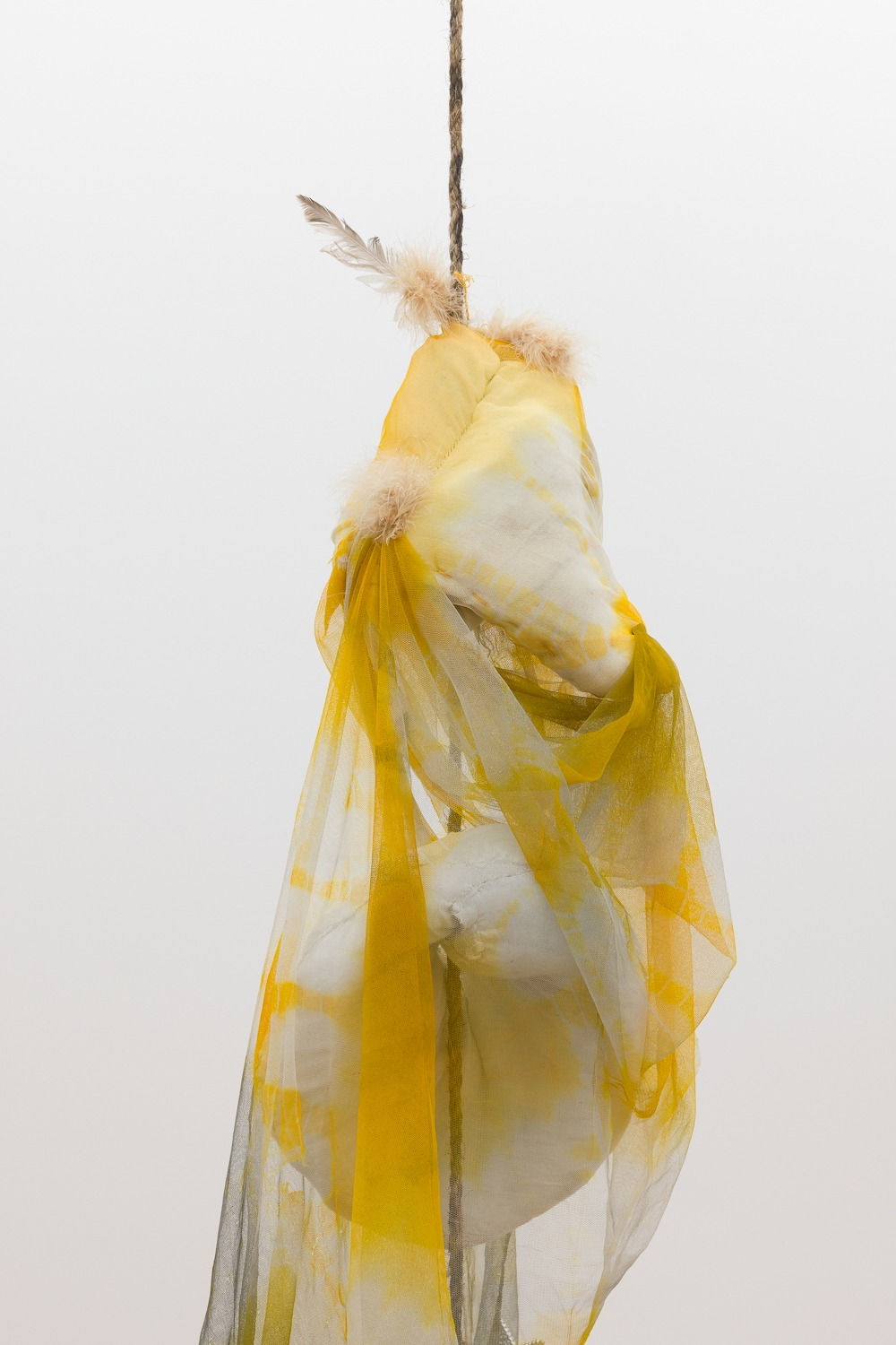 Biogal, Slipper Limpet Sculpture, 2023