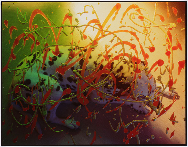 Jimmy DeSana, Mustard & Ketchup, 1985