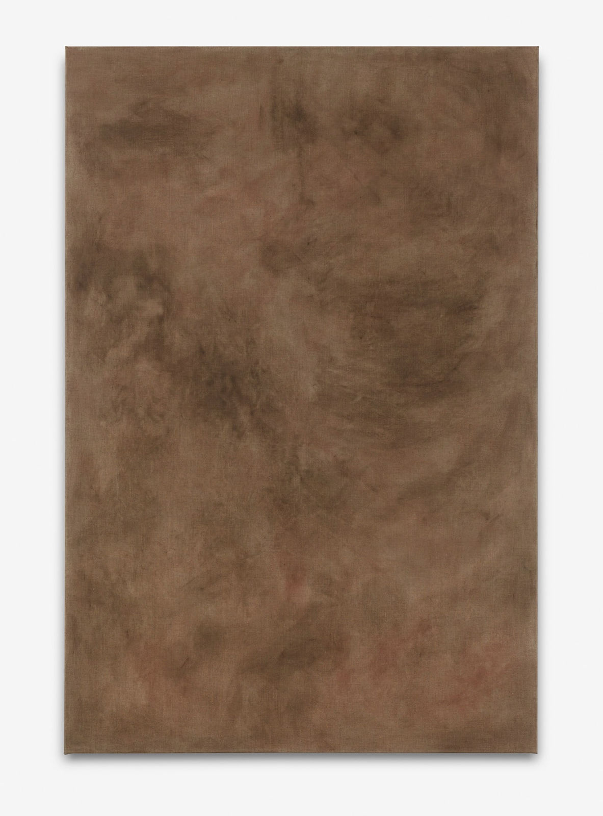 Juliette Bonneviot, Earth-Coloured Xenoestrogens, 2015