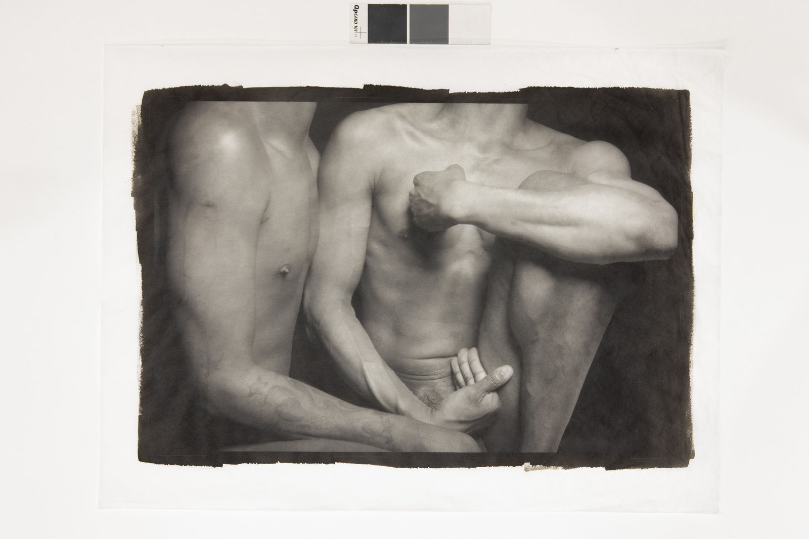 Ajamu X, A Sensual Chorus of Gestures VIII, 2024