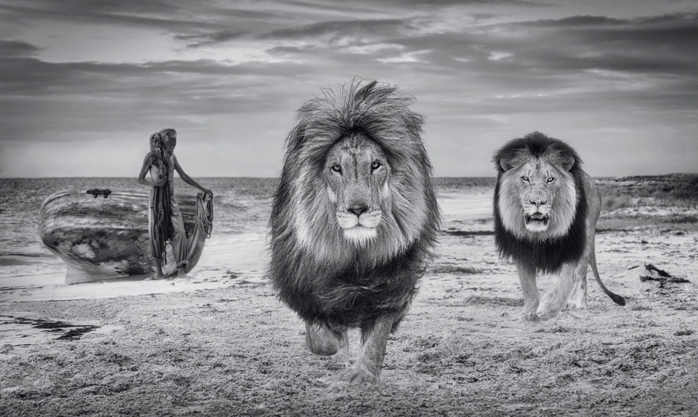 David Yarrow, The Old Man and the Sea