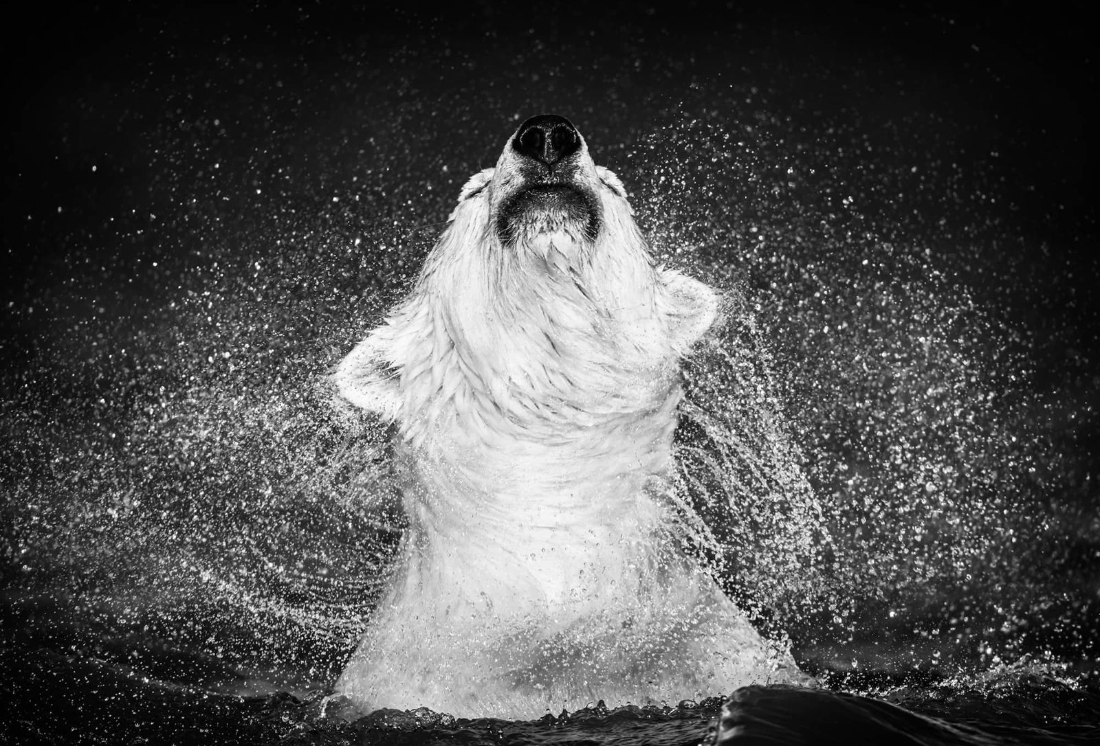 David Yarrow, Diamonds in the Sky