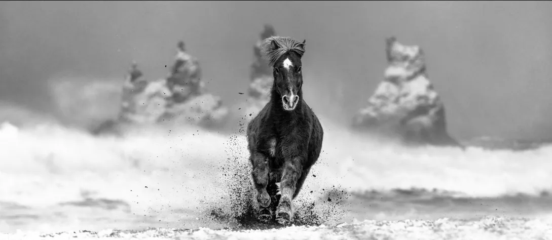 David Yarrow, My Perfect Storm