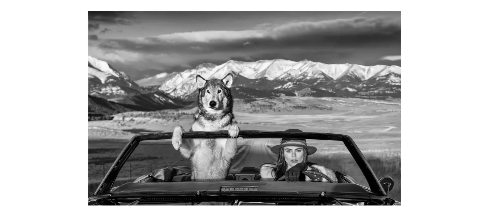 David Yarrow, Montana, Baby