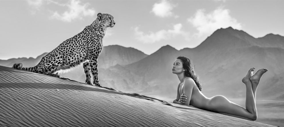 David Yarrow, Dune