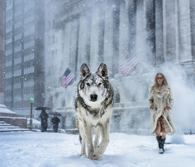 David Yarrow, Wall Street Stories