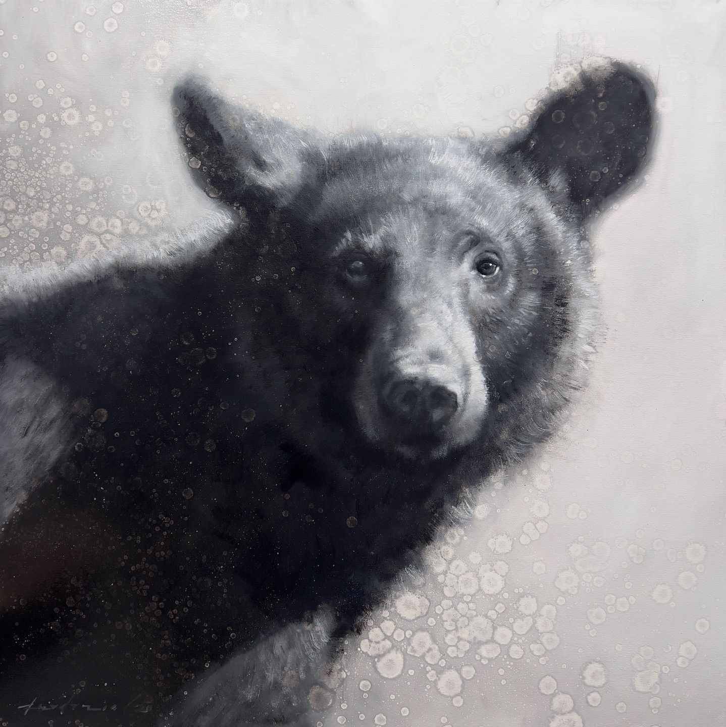 David Riley, Soft Spoke