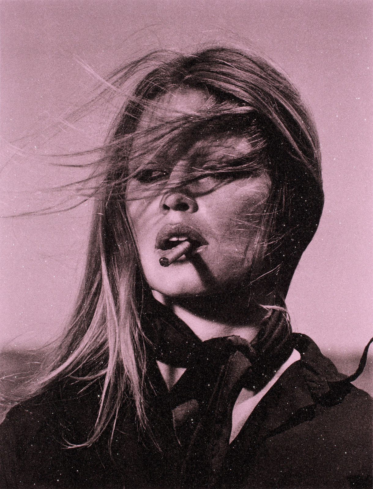 Russell Young, Bardot Supreme