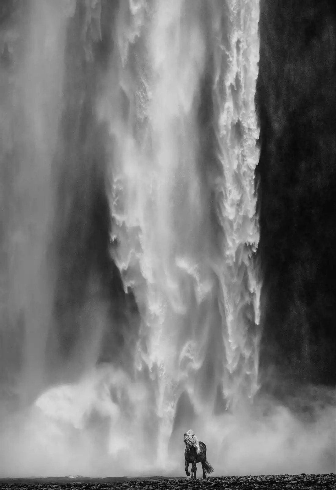 David Yarrow, Wonderwall