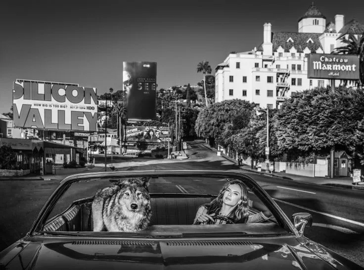 David Yarrow, Once Upon a Time