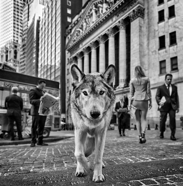 David Yarrow, Once Upon a Time on Wall Street