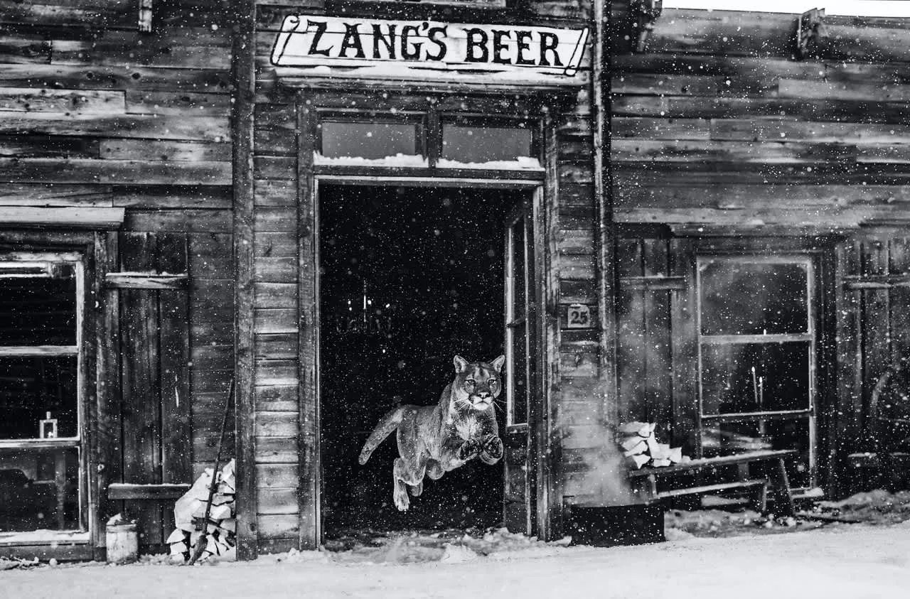 David Yarrow, In the Bleak Midwinter