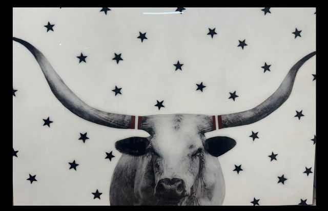 Anke Schofield, In the Stars