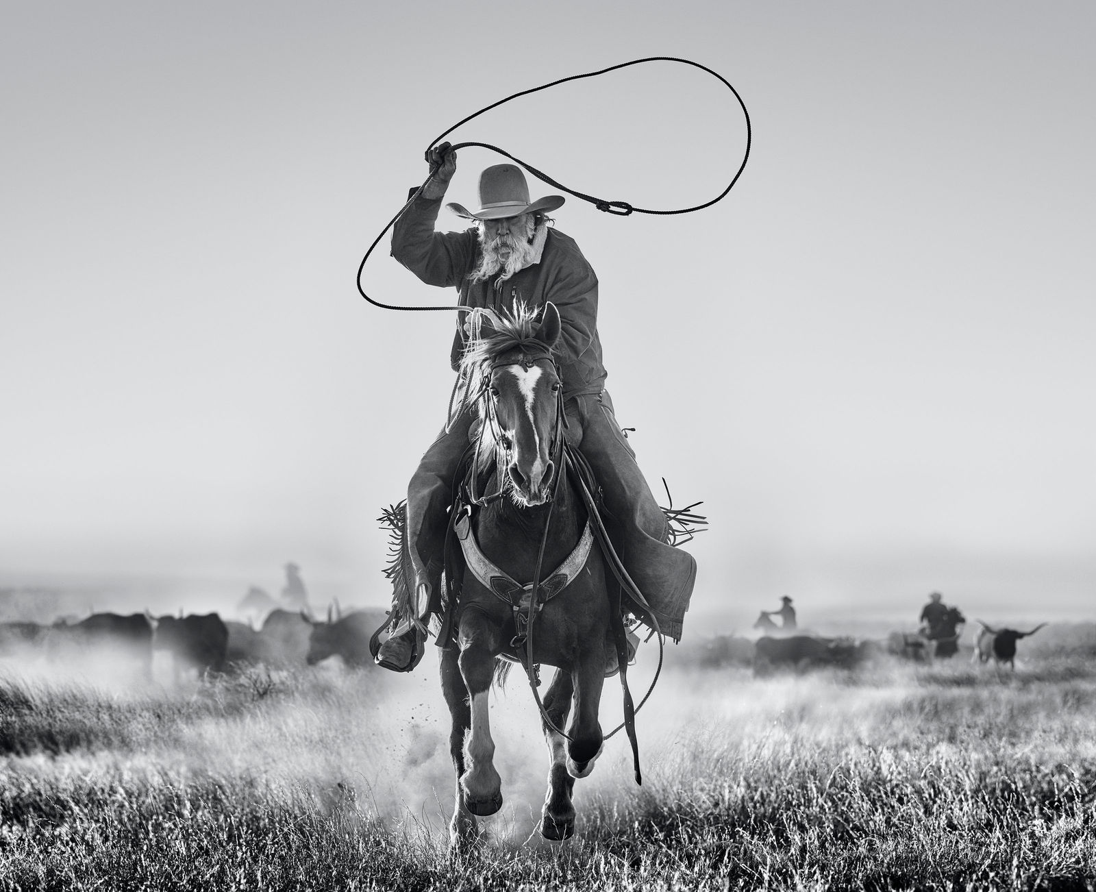 David Yarrow, The Rancher
