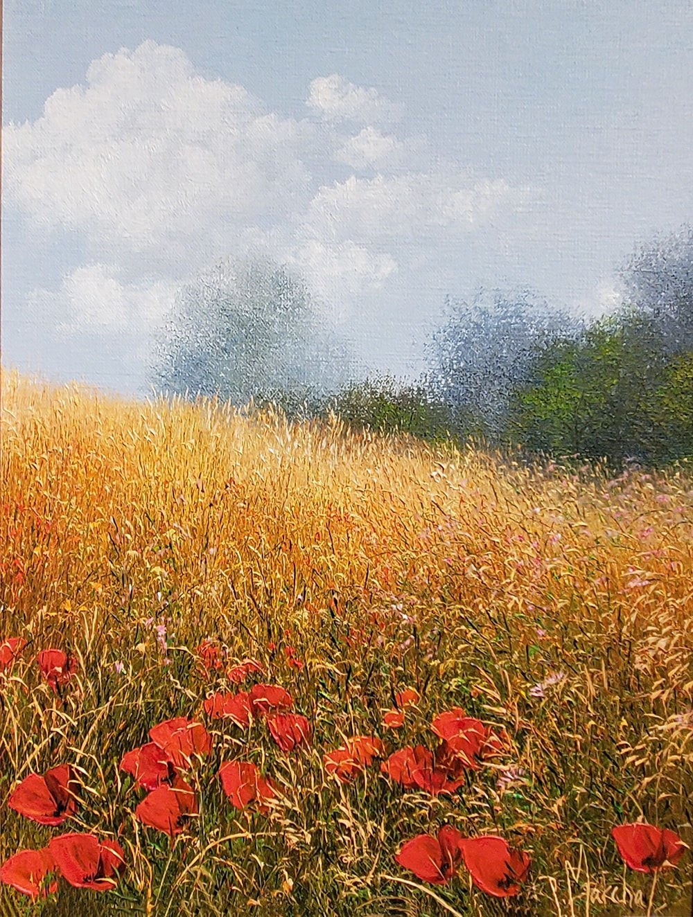 Patrice Marchal, Coquelicots